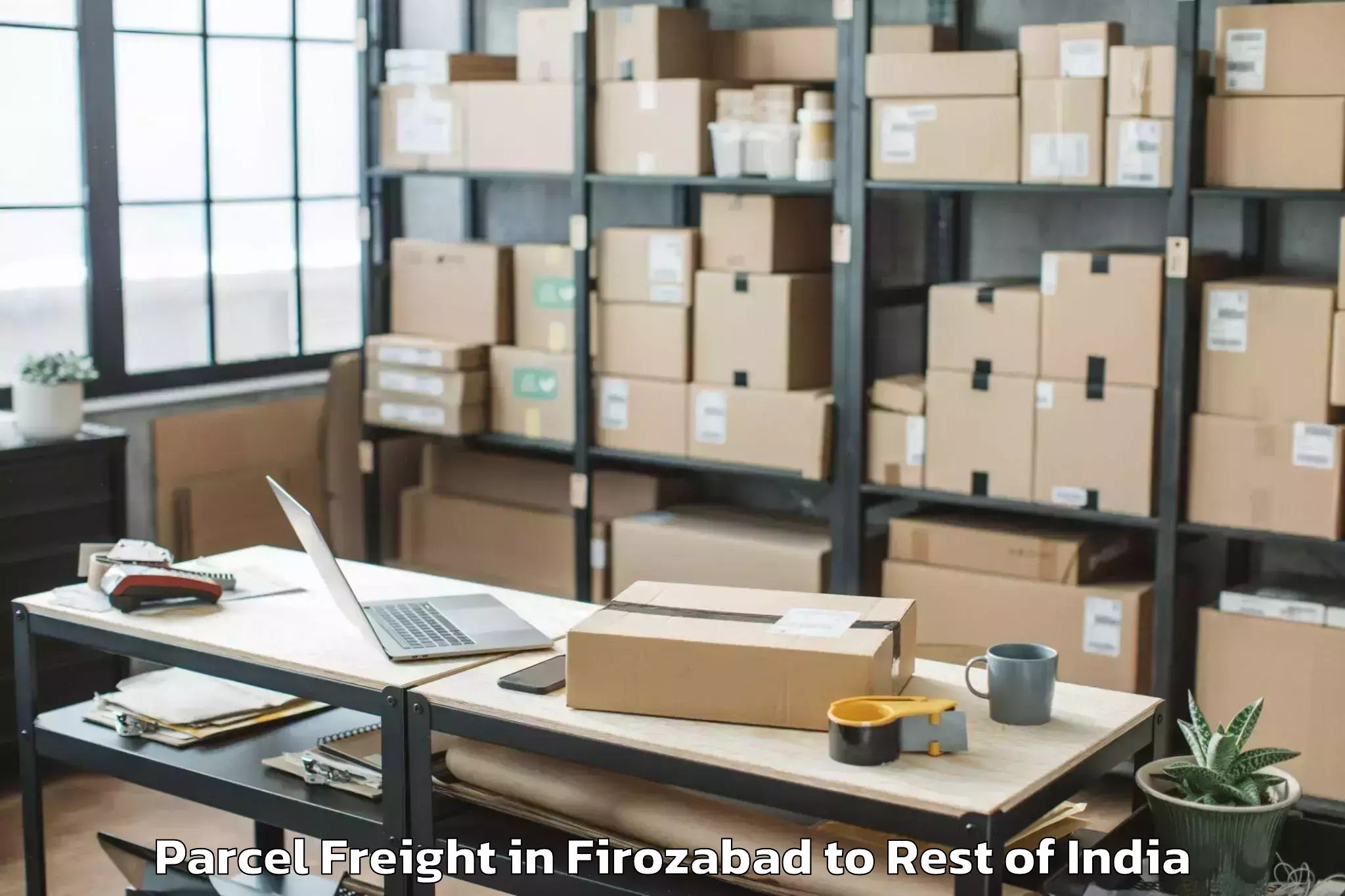 Professional Firozabad to Pahlgam Parcel Freight